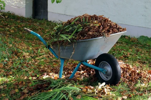 Yard Waste: Leaves, Branches, Grass, Soil, Shrubs
