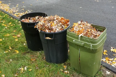 Organic Waste vs Non-Organic Yard Debris
