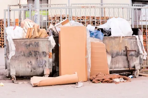 Real Backbone of Waste Diversion