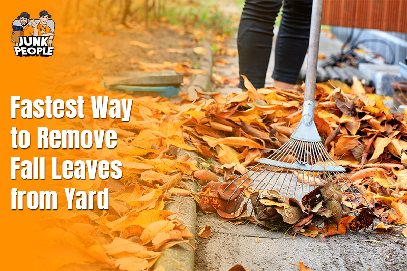 fastest-way-to-remove-fall-leaves-from-yard