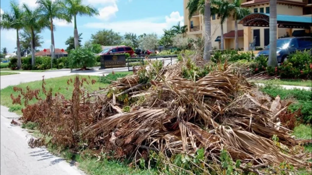 Yard Waste Handling Matters After Landscaping