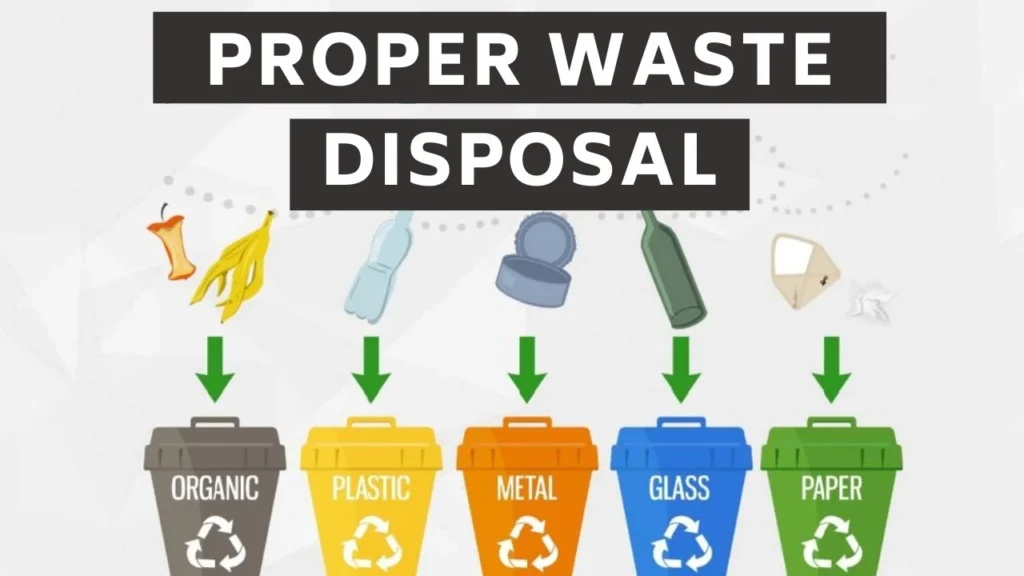 Waste Disposal Options