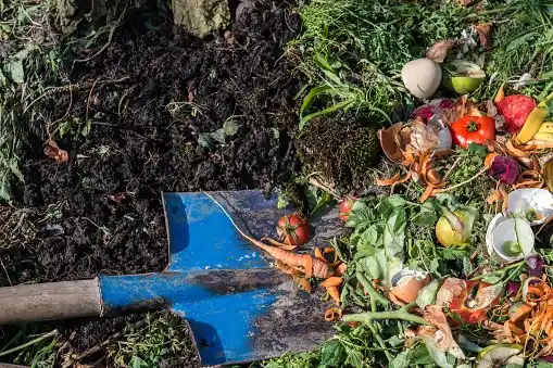Different Types Of Yard Waste And Their Handling Rules