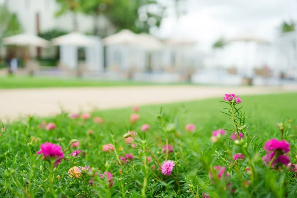 Seasonal Response Strategy For Faster Yard Recovery