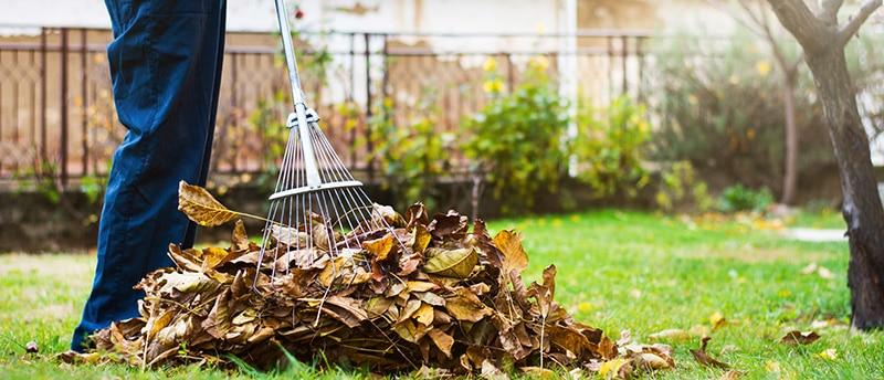 Step Framework Used During Full Property Cleanup Jobs