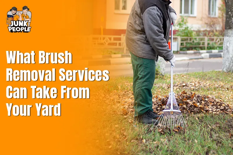 What Brush Removal Services Can Take From Your Yard