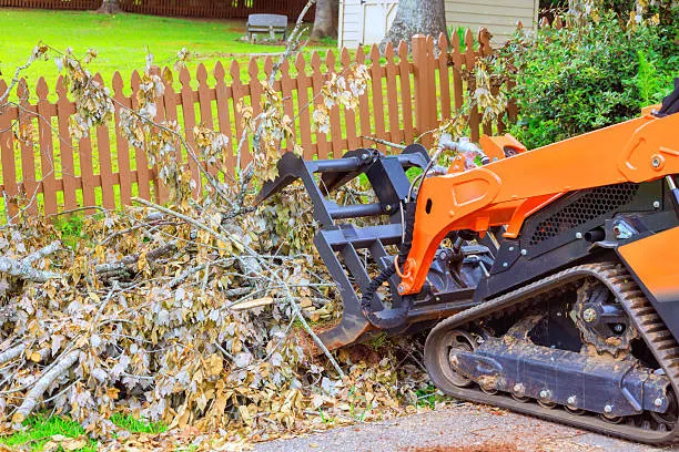 What Brush Removal Services Can Take From Your Yard