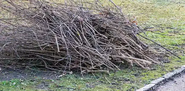 How Brush Piles Can Affect Safety and Yard Maintenance
